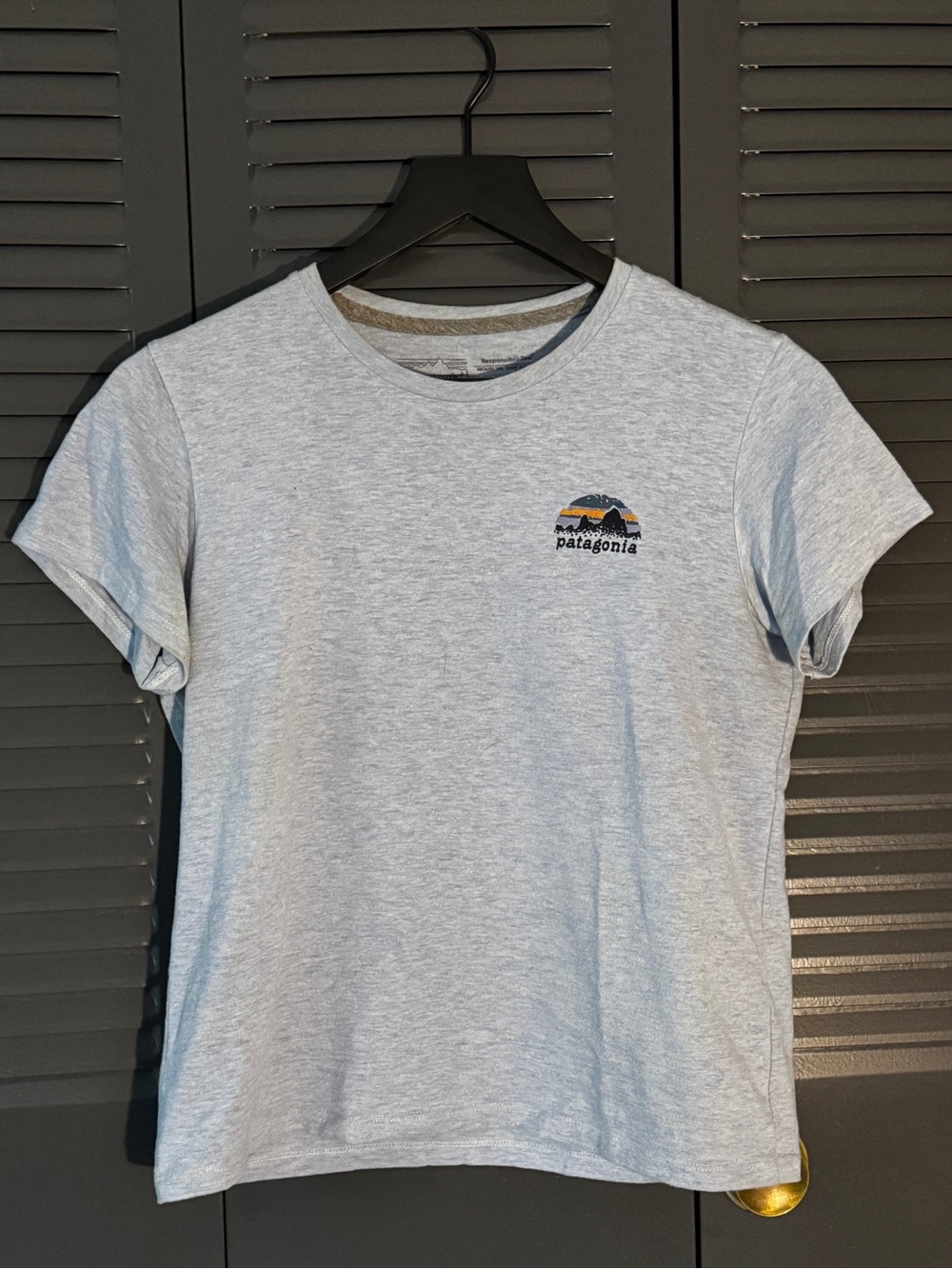 Patagonia Women’s Light Blue Logo Tee - Short Sleeve